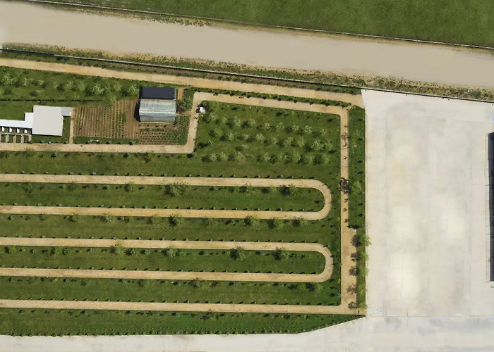 Resort Ng Afyon Wellness & Convention Afyonkarahisar