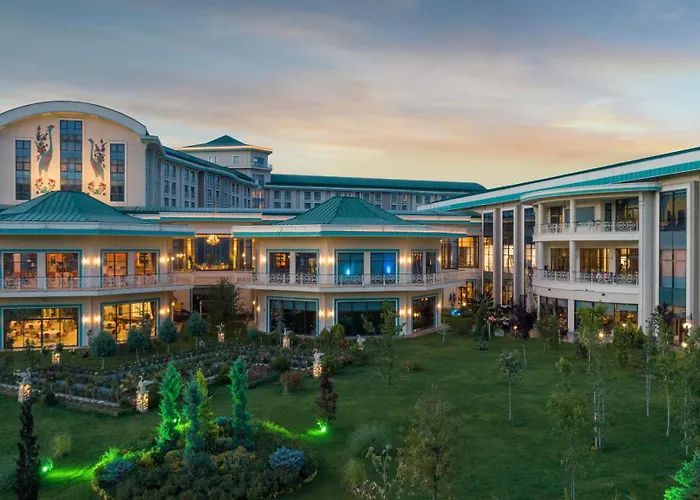 Ng Afyon Wellness & Convention 5* Afyonkarahisar